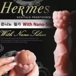 황제발기 헤르메스 (갈색)
