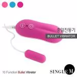패셔네이트 채찍