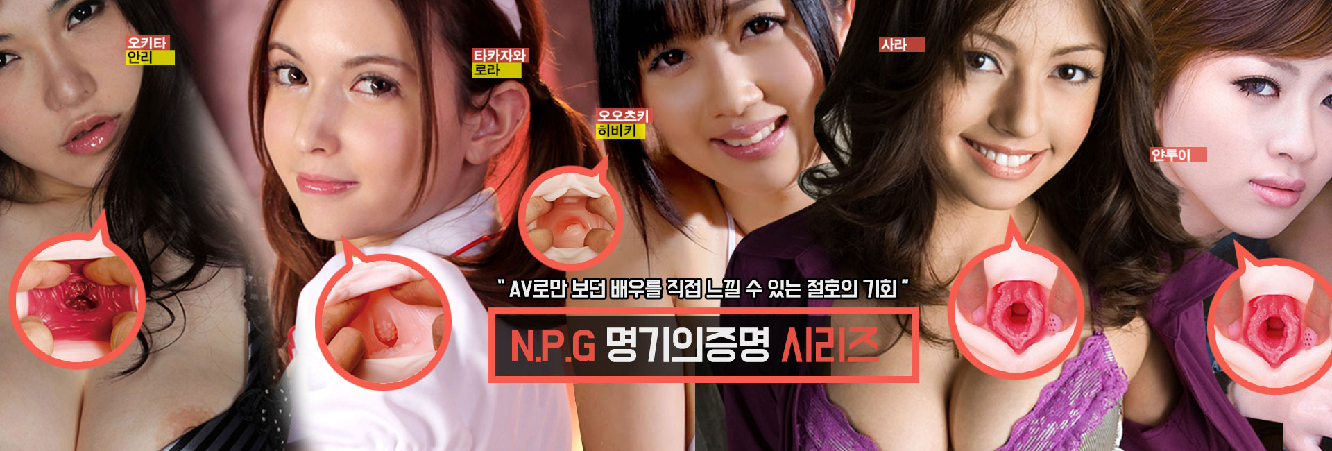 일본 NPG 니포리 명기의 증명 시리즈
